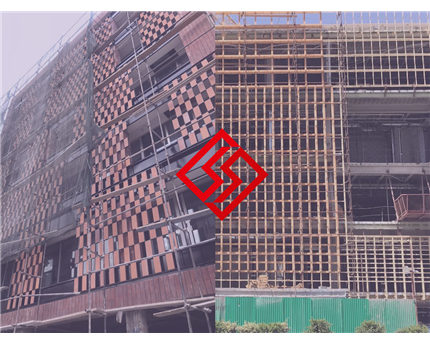 نما خشک آجری و هر آنچه باید درباره آن بدانیم